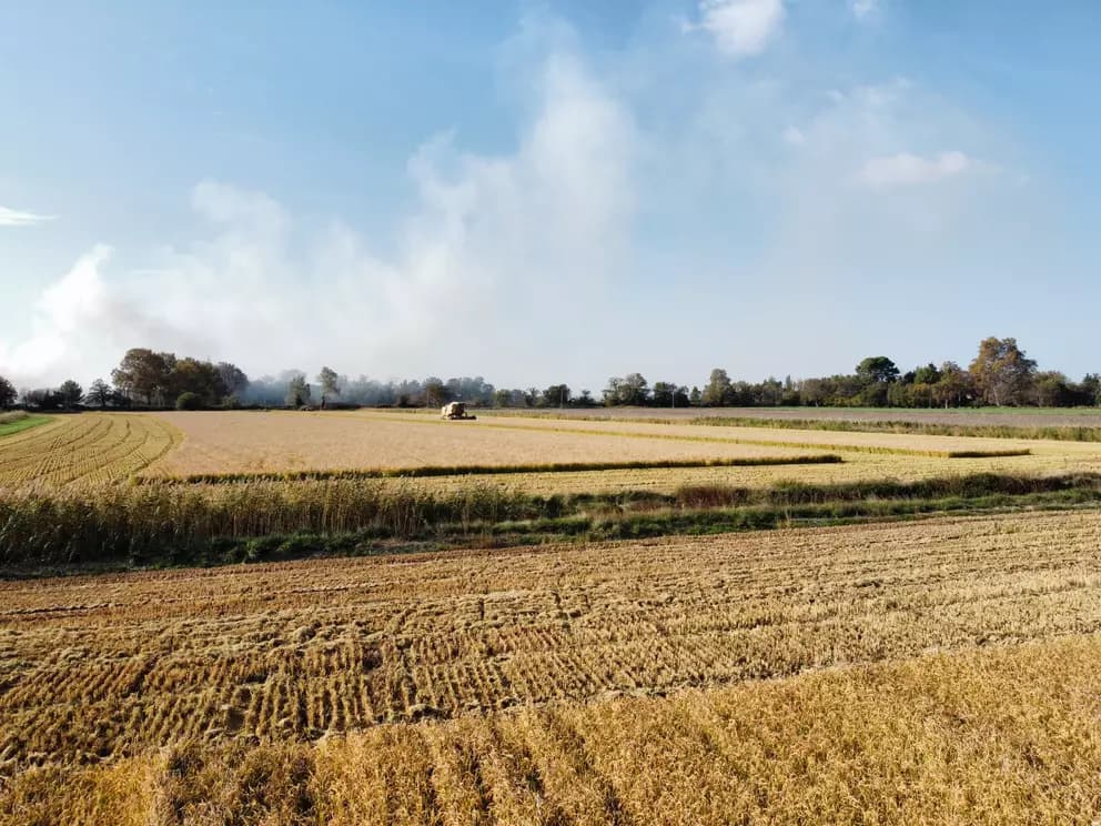 SCI 3H - Clinique PAOLI - 28